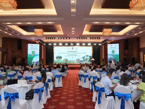 Hội nghị Tổng kết Dự án “Các Trung tâm Đổi mới Sáng tạo Xanh - GIC”