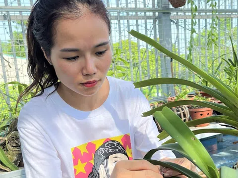 Cô giáo Tạ Thị Quyên - người khởi nghiệp thành công từ thú chơi tao nhã